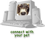 Cyber Visit with your pet!